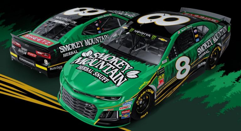 Daniel Hemric to drive No. 8 car for two races for RCR
