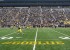 goblue