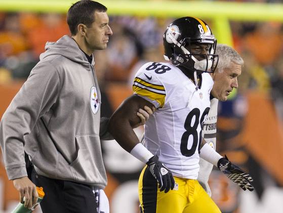 NFL fines Steelers and receiver Emmanuel Sanders for faking injury