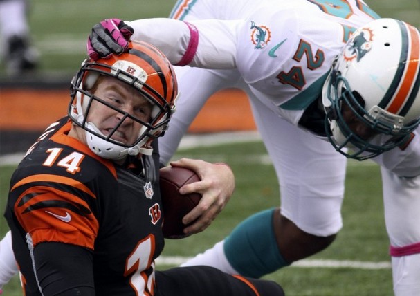 Cincinnati Bengals vs. Miami Dolphins: Odds, Point Spread, Over/Under and tv info