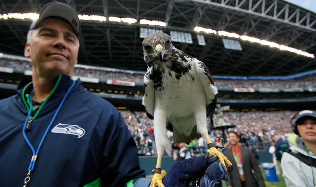 Seahawks mascot lands on fan prior to game