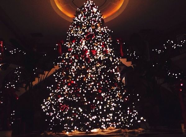 Kardashians’ Share Photo of Their Large Christmas Tree