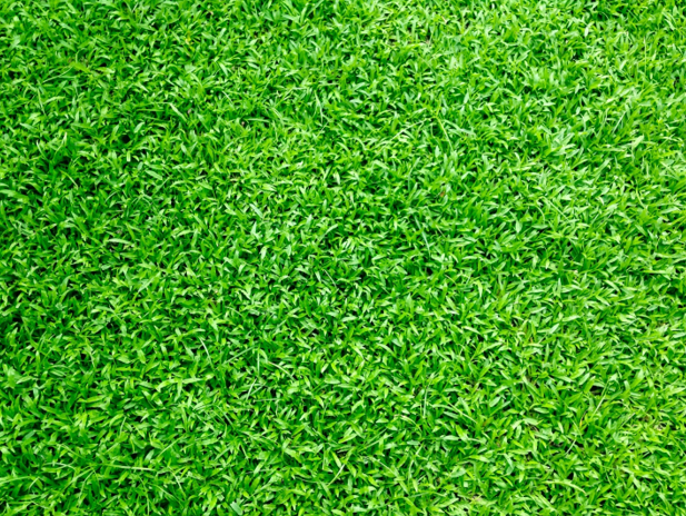 Gym Turf – Choosing the Right One for Your Gym